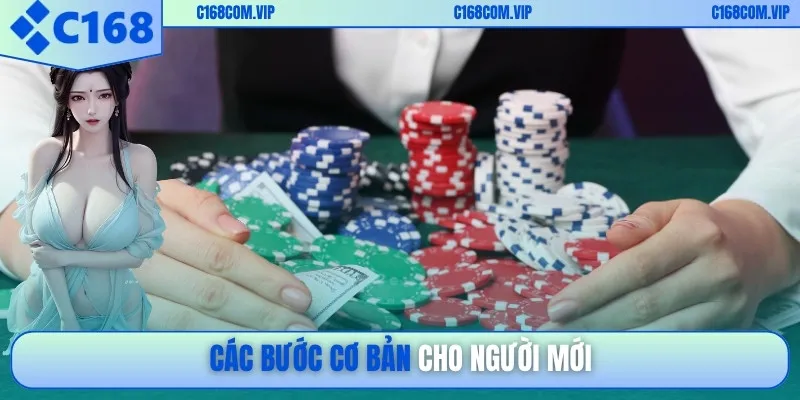 Các bước cơ bản cho người mới